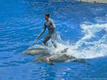 Orlando Sea World